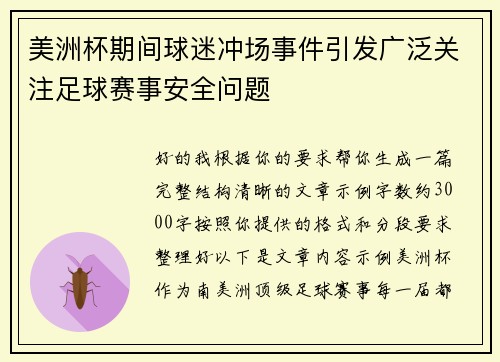 美洲杯期间球迷冲场事件引发广泛关注足球赛事安全问题 美洲杯期间球迷冲场事件引发广泛关注足球赛事安全问题